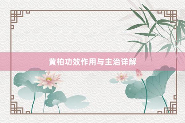 黄柏功效作用与主治详解