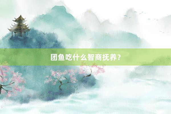 团鱼吃什么智商抚养？