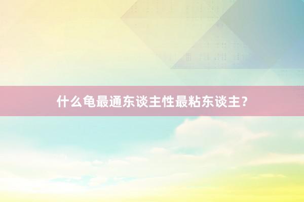 什么龟最通东谈主性最粘东谈主？